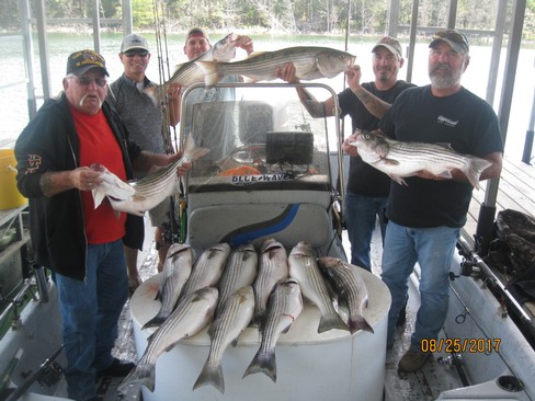 Nice Striped Bass
